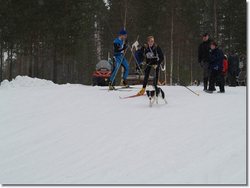 Nästa bild